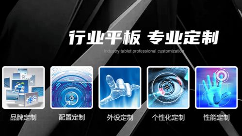 工业平板在食品加工厂的应用优势解析