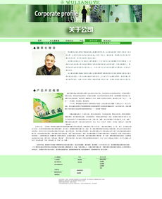 网页设计模板 高效构建专业网站的关键